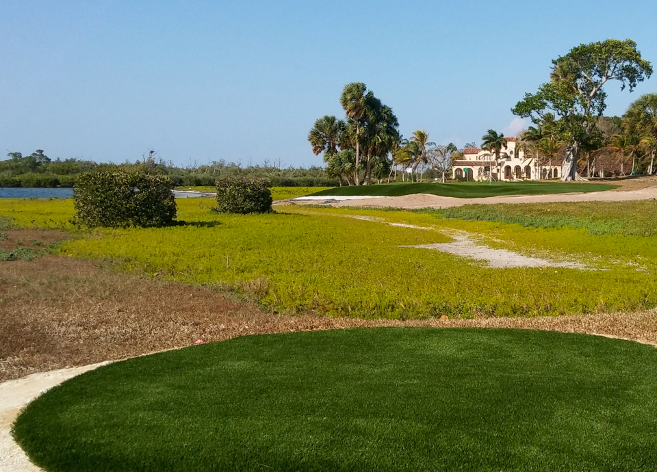 Backyard Golf Course
