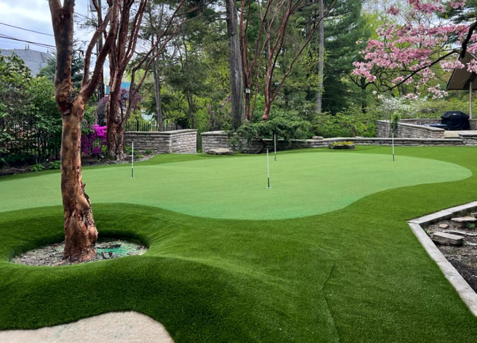 Backyard Putting Green with Natural Appearance
