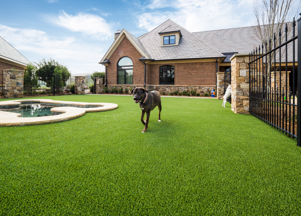Artificial Grass for Fenced Dog Area