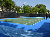 blue & greens game court
